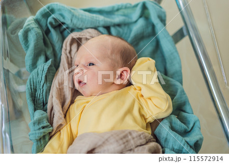 A newborn rests peacefully in his transparent bassinet in the hospital. The clear bassinet provides visibility for medical staff to monitor the baby's well-being while ensuring a safe and comfortable A newborn rests peacefully in his transparent bassinet in the hospital. The clear bassinet provides visibility for medical staff to monitor the baby's well-being while ensuring a safe and comfortable 115572914