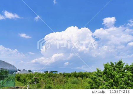 大きくなり始まった積乱雲　入道雲　山形県東根市 115574218