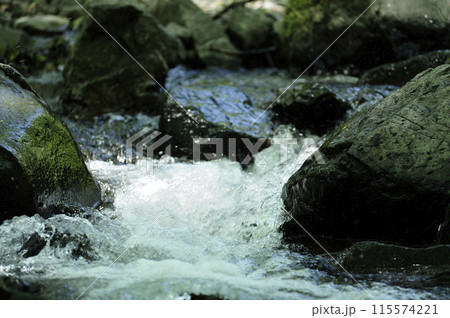 小川の水の流れ 小川の水の流れ 115574221