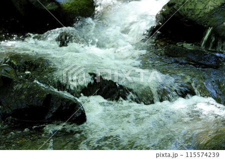 小川の水の流れ 小川の水の流れ 115574239
