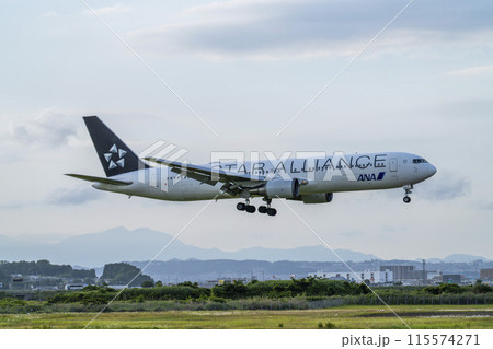 夕暮れの仙台空港　着陸中の飛行機　宮城県名取市 115574271