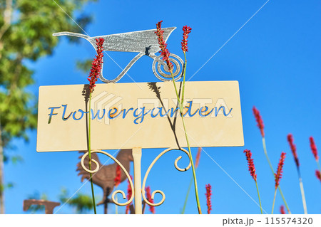 ガーデニング・フラワーガーデンのプレートとペルシカリアの花 115574320