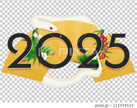 2025年巳年(年賀状素材) 2025年巳年(年賀状素材) 115574513