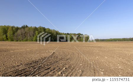 preparing the soil for sowing in spring preparing the soil for sowing in spring 115574731