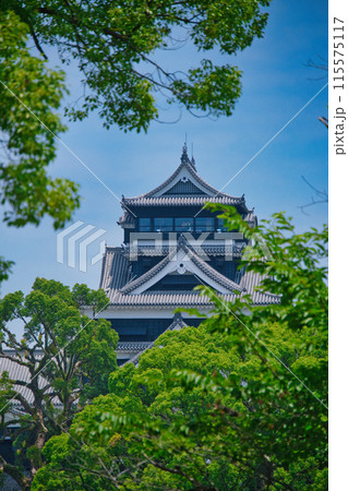 二の丸駐車場から望む熊本城 二の丸駐車場から望む熊本城 115575117