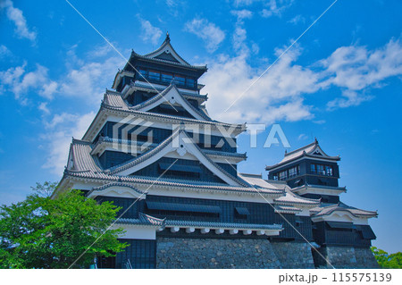熊本城 115575139