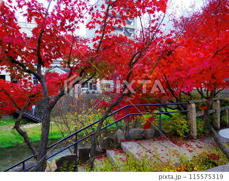 長野県松本市 なわて通りの秋の風景 長野県松本市 なわて通りの秋の風景 115575319