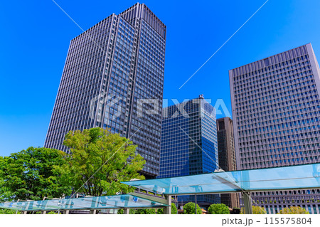 東京　千代田区 丸の内の都市風景 115575804