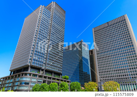 東京 千代田区 丸の内の都市風景 東京 千代田区 丸の内の都市風景 115575809
