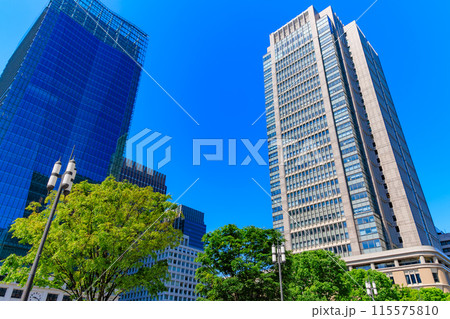 東京 千代田区 丸の内の都市風景 東京 千代田区 丸の内の都市風景 115575810