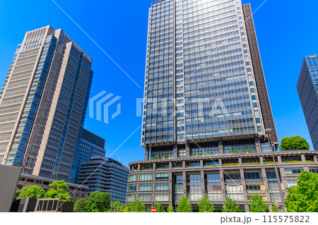 東京 千代田区 丸の内の都市風景 東京 千代田区 丸の内の都市風景 115575822