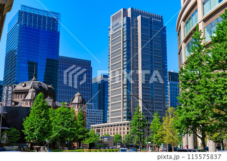 東京 千代田区 丸の内の都市風景 東京 千代田区 丸の内の都市風景 115575837