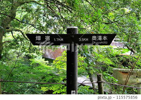 箱根古道の道案内 115575856