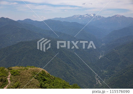 〔福井県大野市・6月〕荒島岳　荒島岳もちが壁付近からの眺望　右奥は白山連峰 115576090