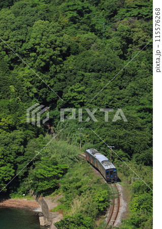 絶景の長崎本線旧線をのんびり走行する新型YC1系気動車_2024/5/19撮影 絶景の長崎本線旧線をのんびり走行する新型YC1系気動車_2024/5/19撮影 115576268