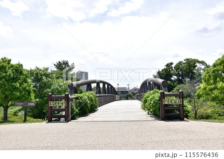 海老名市 神奈川県立相模三川公園の鳩川さくら橋 海老名市 神奈川県立相模三川公園の鳩川さくら橋 115576436