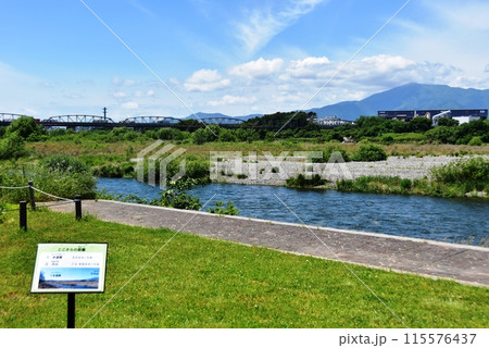 海老名市 神奈川県立相模三川公園散策路と相模川と大山と横須賀水道橋 海老名市 神奈川県立相模三川公園散策路と相模川と大山と横須賀水道橋 115576437