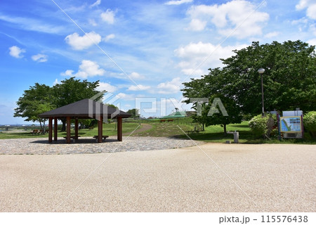 海老名市　神奈川県立相模三川公園散策路と東屋 115576438
