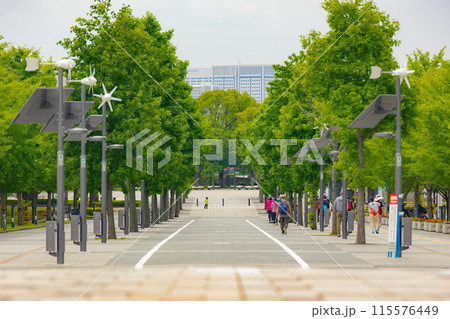 お台場　フジテレビ 115576449