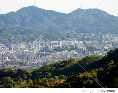 北山から俯瞰する高知市街地の風景 北山から俯瞰する高知市街地の風景 115576660