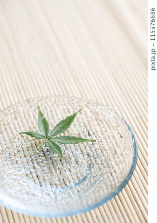 水に浮かぶ青もみじ 115576686