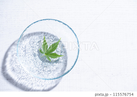 水に浮かぶ青もみじ 115576754