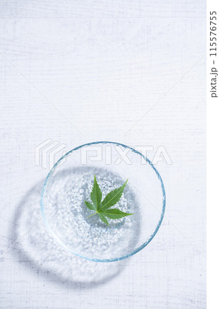 水に浮かぶ青もみじ 水に浮かぶ青もみじ 115576755