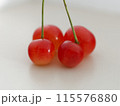 サクランボの双子果：クローズアップ 115576880