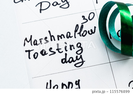 Celebratory Marshmallow toasting day Photo Celebratory Marshmallow toasting day Photo 115576899