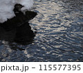 冬の渓流の穏やかな水面 115577395