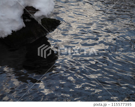 冬の渓流の穏やかな水面 115577395