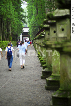 日光二荒山神社参道:上新道(うわしんみち) 115577416