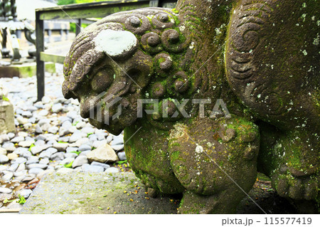 日光東照宮:狛犬たち 115577419