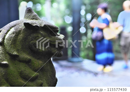 日光東照宮:狛犬たち 日光東照宮:狛犬たち 115577430