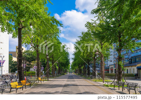 光が丘公園 ふれあいの径 115577495