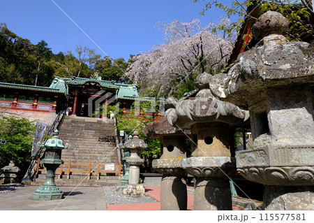 久能山東照宮 115577581