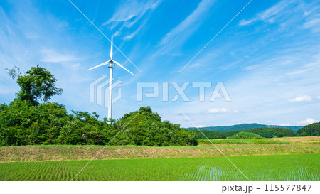 風力発電の風車 風力発電の風車 115577847