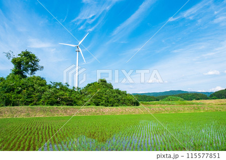 風力発電の風車 115577851