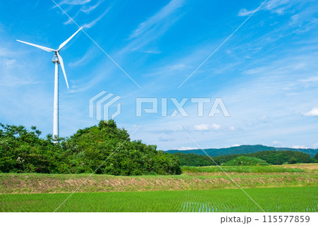 風力発電の風車 風力発電の風車 115577859