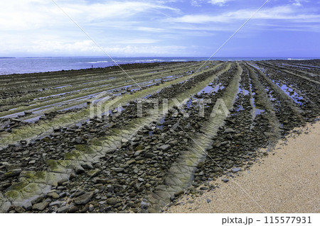 砂浜と鬼の洗濯板 砂浜と鬼の洗濯板 115577931