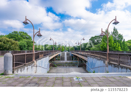 光が丘公園 光が丘公園 115578223