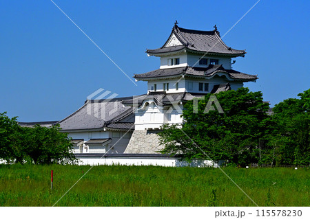 関宿城船着場の方向から見る関宿城 関宿城船着場の方向から見る関宿城 115578230