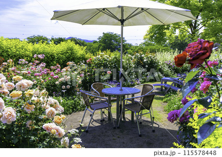 薔薇咲くカフェ 115578448