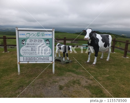 展望台 展望台 115578500