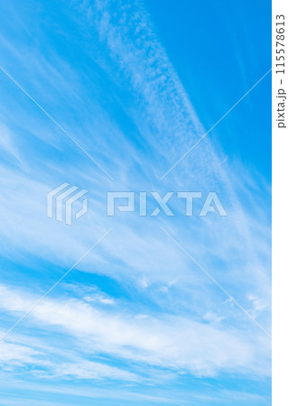 爽やかな青空 115578613