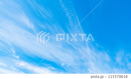爽やかな青空 爽やかな青空 115578616
