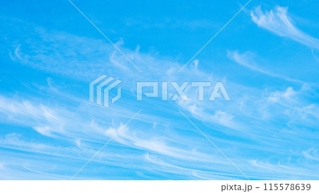 爽やかな青空 爽やかな青空 115578639