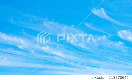 爽やかな青空 115578643