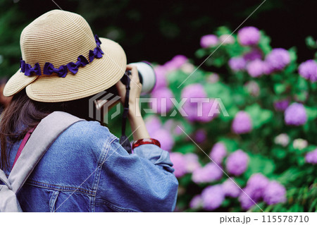 紫陽花を撮影する女性 115578710