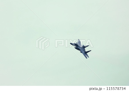 F-15 展示飛行 115578734